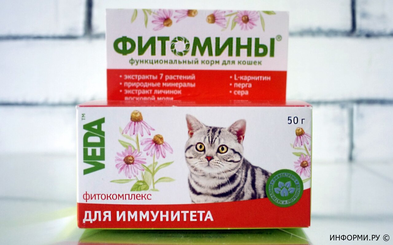 Лучшие антигадины для кошек в 2024 году - ТОП-10 препаратов и средств