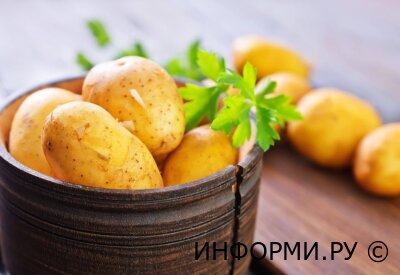 Советы по окучиванию картофеля при выращивании на приусадебных участках