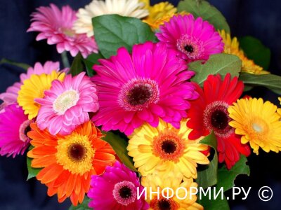 Почему стоит заказать цветы с доставкой?