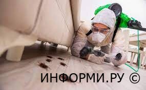 Преимущества профессиональной дезинсекции