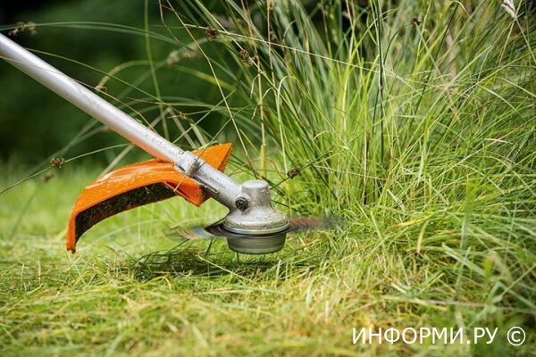 Как выбрать подходящую косилку для травы?