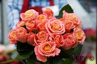 Классика и очарование: какие розы подарить женщине