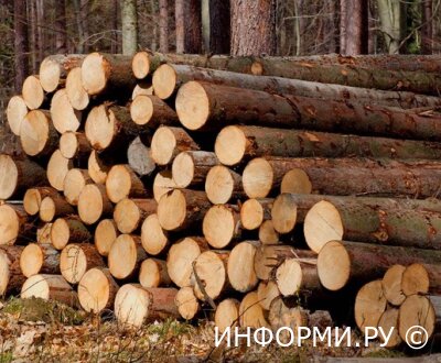 Какая должна быть толщина бревна для дома