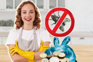 Как избавиться от мух раз и навсегда: профессиональное уничтожение с гарантией